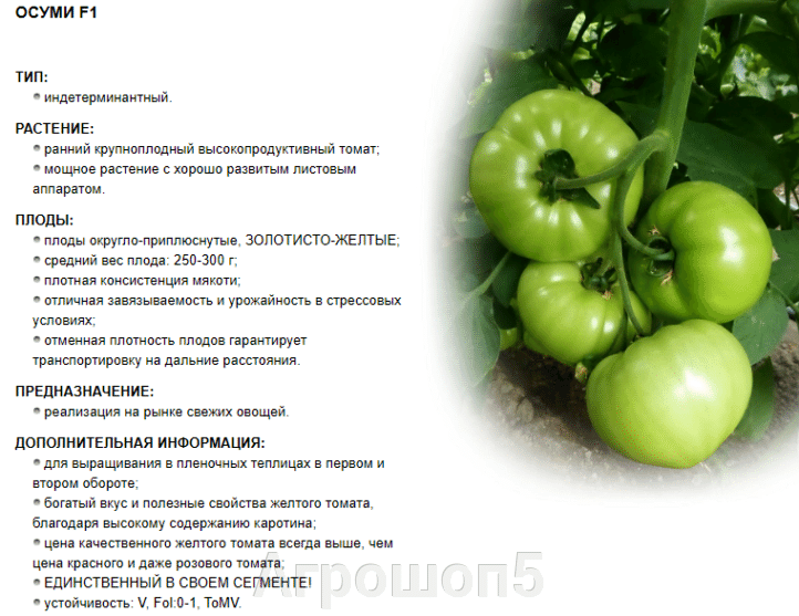 pic_13d7fcc175a9985d4ea9bd91b8ba4d11_1920x9000_1.png