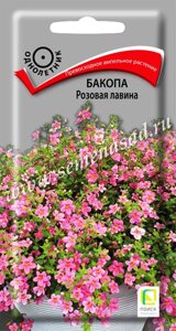 Бакопа Розовая лавина. 5 семян. Поиск. Превосходное ампельное растение с поникающими побегами. Цветет с весны до осени