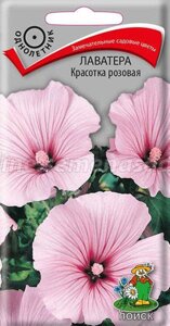Лаватера Красотка розовая. 0,3 грамма. Поиск. Крупные красивые яркие цветы розовой окраски