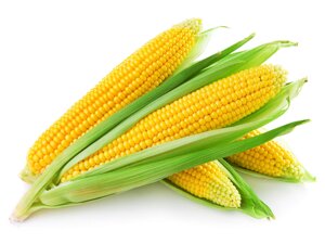 Семена кукурузы. Любительская упаковка