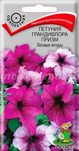 Петуния грандифлора призм Лесные ягоды. 20 семян. Поиск. Крупноцветковая смесь цветов разных оттенков вишневых расцветок