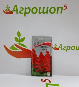 Сальвия сверкающая Дварф Ред. 0,1 г. Поиск. Компактное растение (25 см) с яркими искрящимися красными цветами
