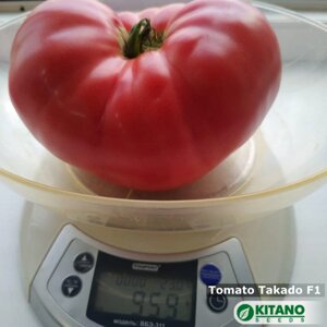 Томат Такадо | KS 38 F1. 50 семян. Kitano. Розовоплодный высокорослый БИФ томат. Индет для теплиц