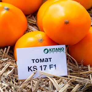 Томат Нукси | KS 17 F1. 50 семян. Желтоплодный средне-поздний округлый 220-250 г. детерминантный томат для ОГ