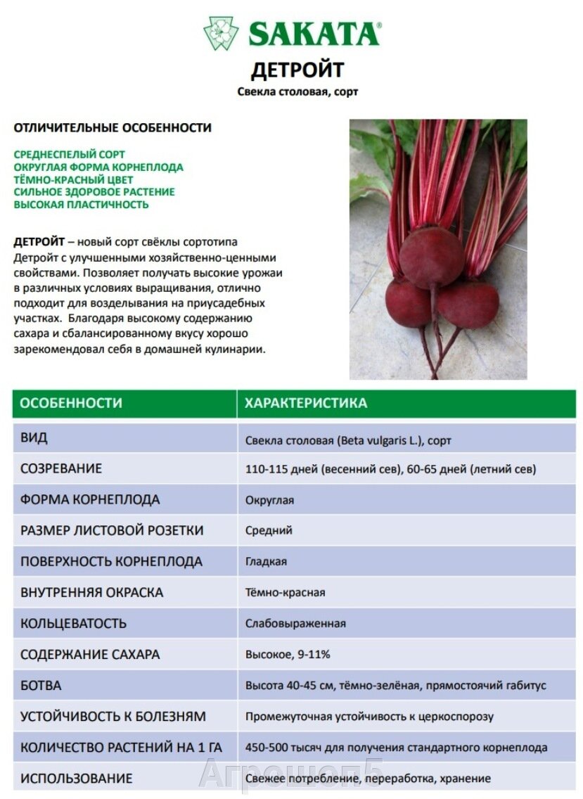 Свекла детройт отзывы
