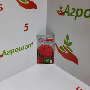 Астра коготковая Красная. 0,3 г. Куст узкий, букетной формы, прочный, высотой 75 см. Цветок крупный махровый