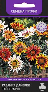 Газания Дайбрек Тайгер Микс. 10 семян. Поиск. Гацания с полосатым узором цветов с широкой палитрой окрасок и рисунков
