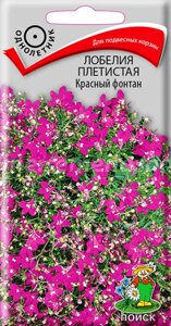 Лобелия плетистая Красный фонтан. 0,1 грамма. Поиск. Красивое растение со свисающими побегами, усыпано красными цветками