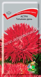 Астра Татьянин День. 0,3 грамма. Поиск. Крупноцветковая лучевая густомахровая астра красно-сиреневого цвета