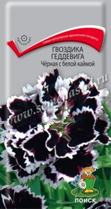 Гвоздика Геддевига Черная с белой каймой. 0,04 грамма. Поиск. Крупноцветковая махровая без запаха