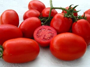 Томат Яки F1. 1000 семян. Seminis. Красноплодная крупная сливка 160 г. Среднеранний детерминантный гибрид для ОГ