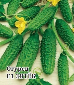 Огурец Зятек 100 шт
