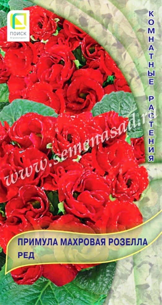 Примула махровая Розелла Ред. 5 семян. Поиск. Махровая красноцветковая примула с цветами в виде бутонов - гарантия