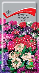 Вербена гибридная Идеал. 0,2 грамма. Поиск. Шаровидные цветки розовые, вишневые, красные, нежно-голубые, лиловые, белые в Крыму от компании Агрошоп5