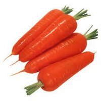 Семена моркови. Профессиональная упаковка.