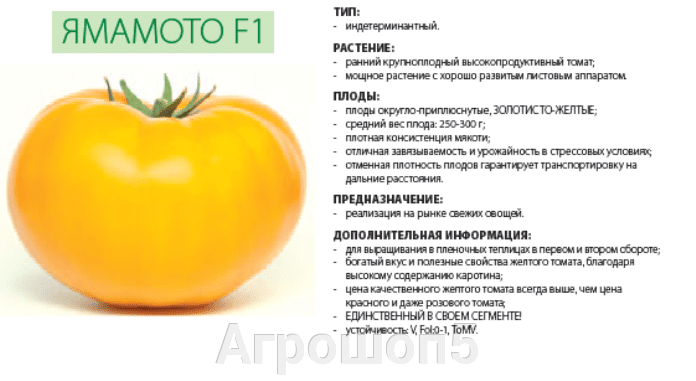 pic_ab8c82f01de7cb4667b04c9b3b0ae95a_1920x9000_1.png