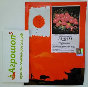 Томат АВ-530 | AV-530 F1. 50 семян. Atakama Seeds. Детерминантный розовый ранний крупноплодный томат