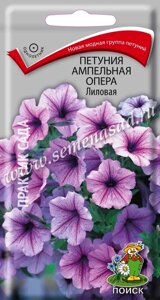 Петуния ампельная Опера Лиловая. 5 семян. Поиск. Побеги до 80 см. Цветы эффектные нежно-розовые с фиолетовыми жилками