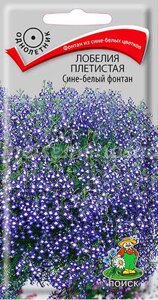 Лобелия плетистая Сине-белый фонтан. 0,1 грамма. Поиск. Растение со свисающими побегами, усыпано сине-белыми цветками