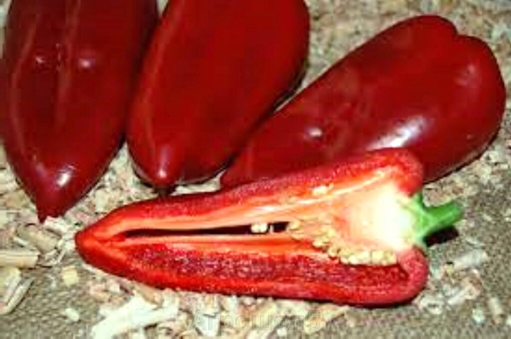 Перец куртовская капия. Перец сладкий паланичко чудо. Перец редкан f1. Перец капия что это. Перец капия что это.