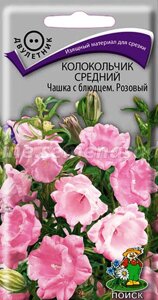 Колокольчик средний Чашка с блюдцем Розовый. 0,1 грамма. Поиск. Крупные розовой окраски цветы