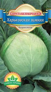 Капуста Харьковская зимняя. 10 грамм. Семена Крыма. Белокочанный позднеспелый сорт капусты