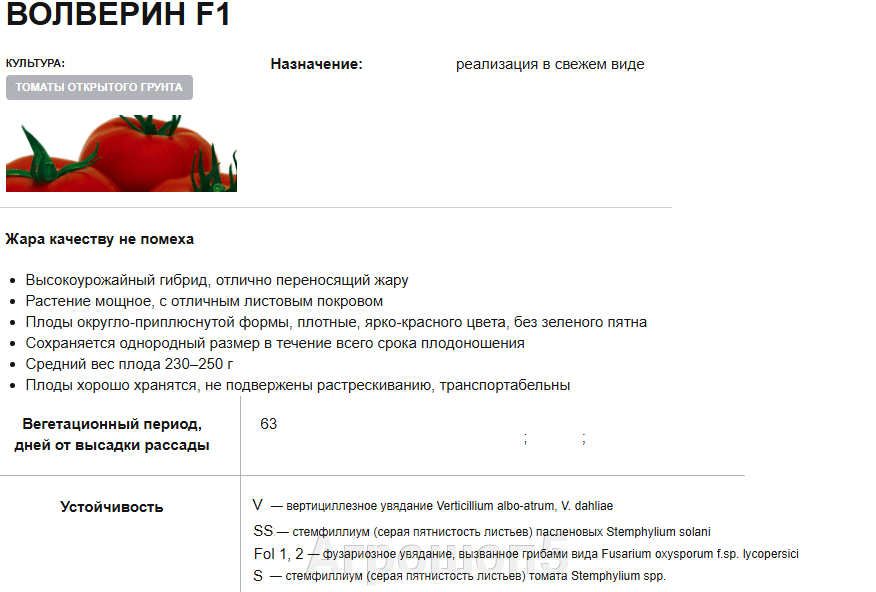 Описание гибрида