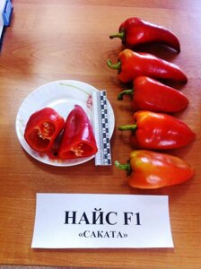 Перец Найс F1. 50 семян. Sakata. Япония. Сладкий среднеранний толстостенный перец. Очень урожайный