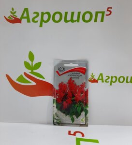 Сальвия сверкающая Карабинер. 0,1 г. Поиск. Компактное растение (25 см) с крупными ярко-красными соцветиями