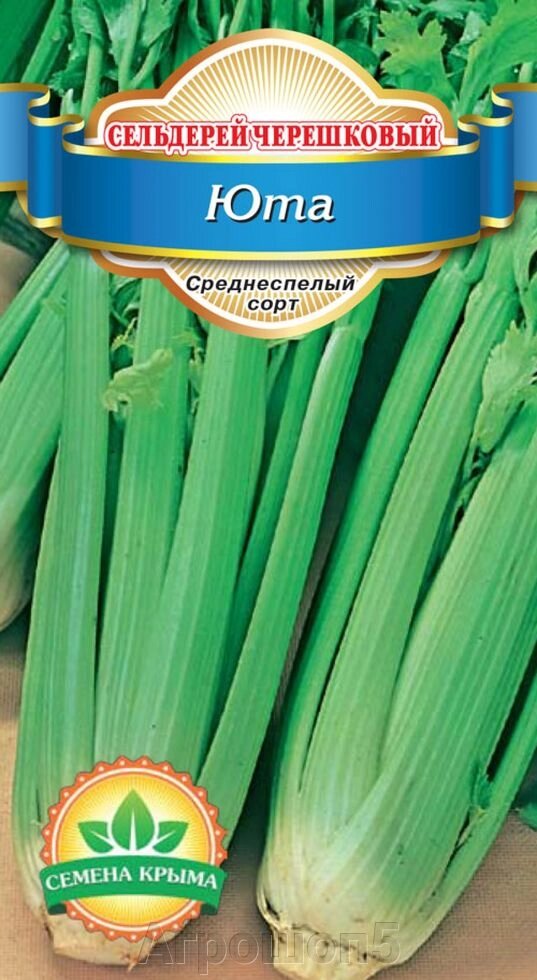 Сельдерей черешковый Юта. 0,5 грамм. Семена Крыма. Черешковый сельдерей. Зеленная культура от компании Агрошоп5 - фото 1