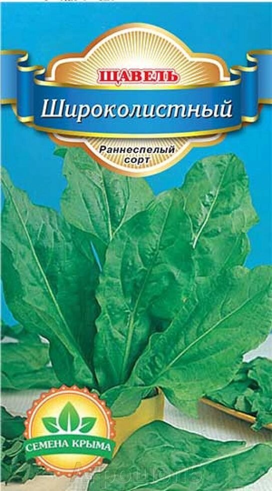 Щавель Широколистный. 10 грамм. Семена Крыма. Зеленная культура от компании Агрошоп5 - фото 1