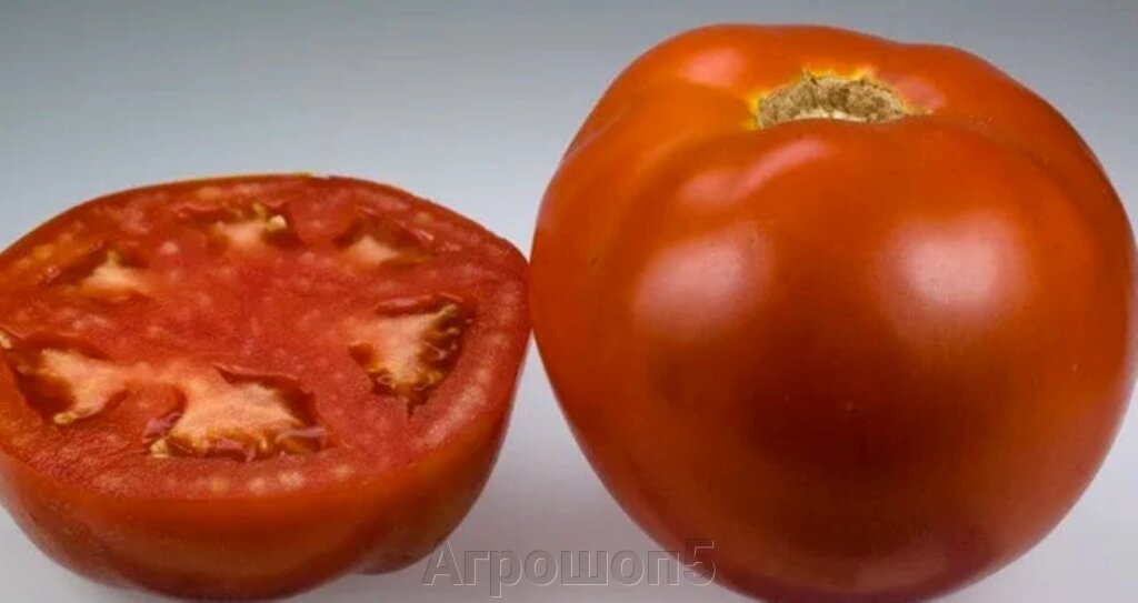 Томат Бэлла Роса F1. 1000 семян. Sakata. Красноплодный очень ранний салатный детерминантный томат в ОГ от компании Агрошоп5 - фото 1