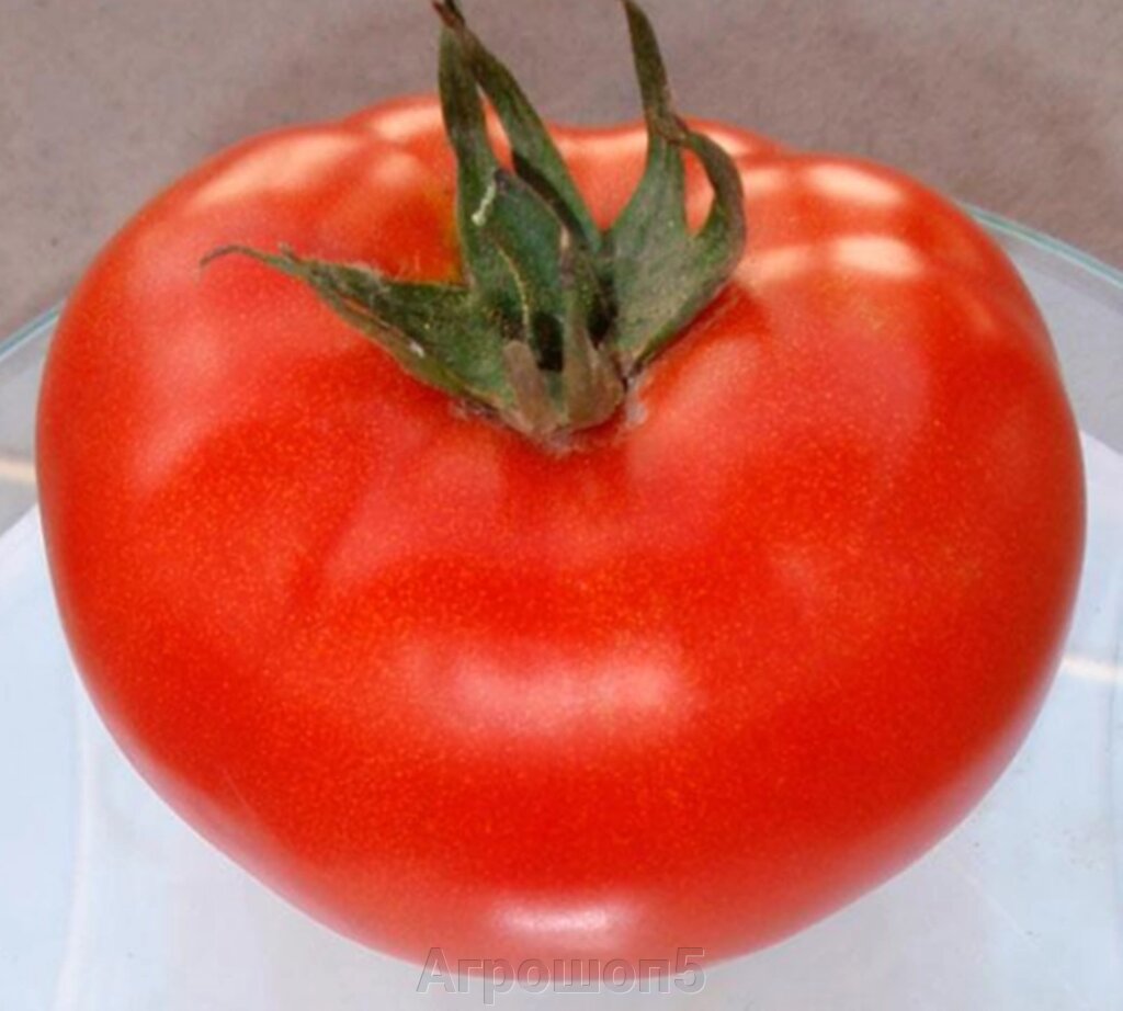Томат Генерал F1. 1000 семян. Sakata. Красноплодный 240 г. ранний детерминантный томат для ОГ от компании Агрошоп5 - фото 1