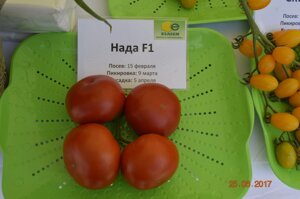 Томат Нада F1. 5 семян. Красный крупноплодный индетерминантный ультра ранний урожайный томат