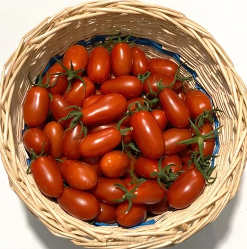 Томат Пекбол F1. 100 семян. Yuksel. Индетерминантный черри томат с ранним сроком созревания. Для теплиц от компании Агрошоп5 - фото 1
