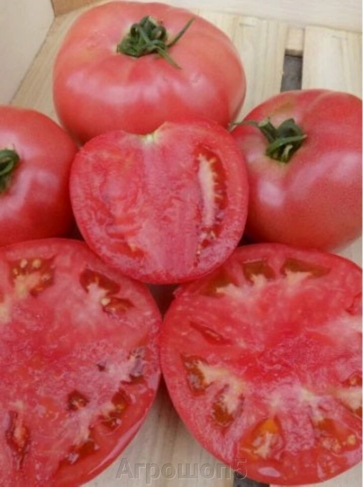 Томат Пинк Харт F1. 500 семян. NONGWOO BIO. Урожайный розовый БИФ. Индетерминантный средне-ранний гибрид для теплиц ##от компании## Агрошоп5 - ##фото## 1