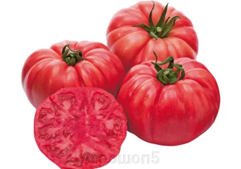 Томат розовый марманде. Помидоры кою. Помидоры кою. Помидоры кою. Помидоры кою.