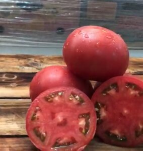 Томат TMG 17608 F1. 1000 семян. GreenTime. Ранний индетерминантный розовоплодный томат с крупными плодами