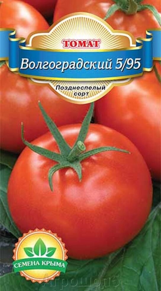 Томат Волгоградский 5/95. 0,2 грамм. Семена Крыма. Красноплодный салатный томат от компании Агрошоп5 - фото 1