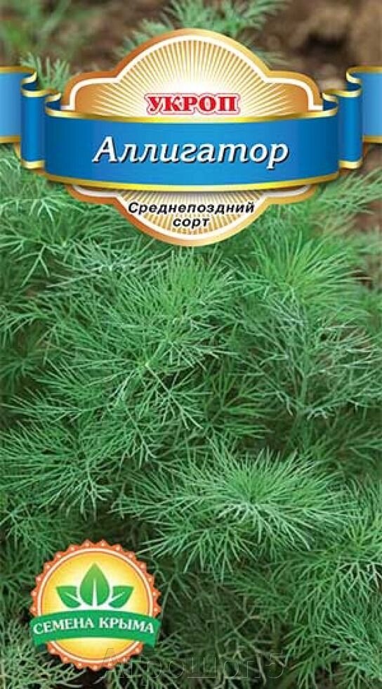 Укроп Аллигатор. 20  грамм. Семена Крыма. Пряно - зеленная культура от компании Агрошоп5 - фото 1