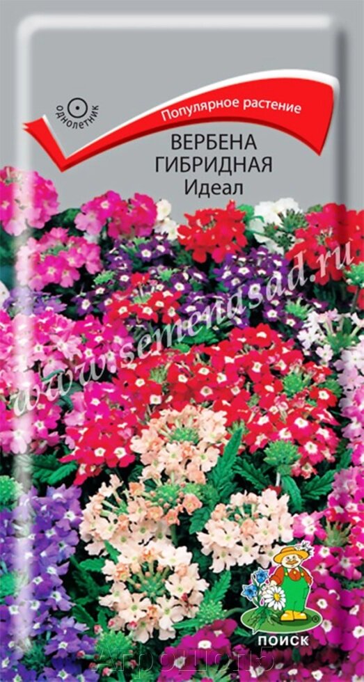 Вербена гибридная Идеал. 0,2 грамма. Поиск. Шаровидные цветки розовые, вишневые, красные, нежно-голубые, лиловые, белые от компании Агрошоп5 - фото 1