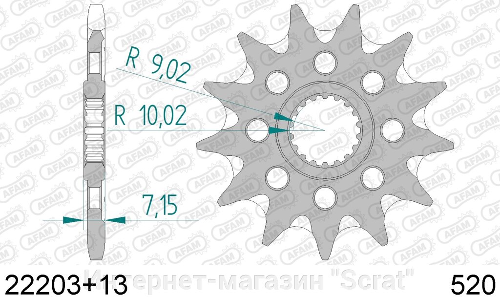 22203+13 звезда передняя (ведущая) стальная самоочищающаяся, 520, AFAM от компании Интернет-магазин "Scrat" - фото 1