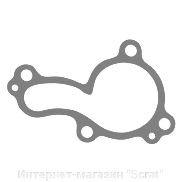 Kawasaki KX450F 06-15 KLX450R 06-17 прокладка крышки водяной помпы 11061-0225 000K-064 от компании Интернет-магазин "Scrat" - фото 1