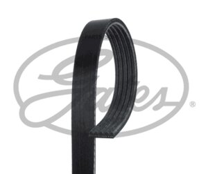Ремень ручейковый GATES 5 PK 716SF