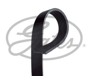 Ремень ручейковый GATES 7 PK 1905