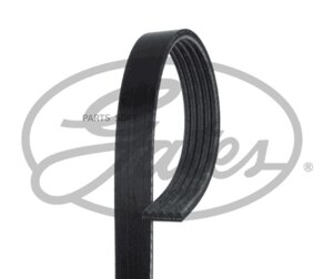 Ремень ручейковый GATES 5 PK 870