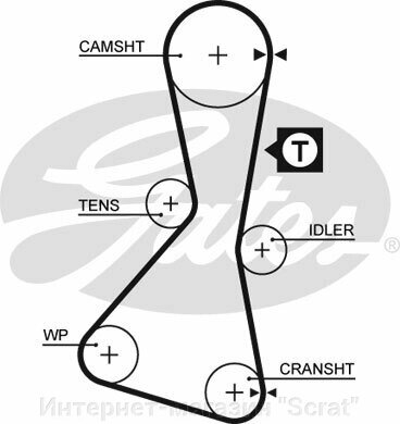 Ремень ГРМ GATES   5060XS от компании Интернет-магазин "Scrat" - фото 1