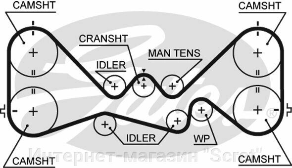 Ремень ГРМ GATES   5384XS (T328) от компании Интернет-магазин "Scrat" - фото 1