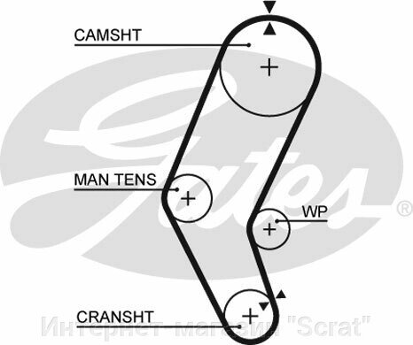 Ремень ГРМ GATES   5401 ^ от компании Интернет-магазин "Scrat" - фото 1