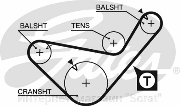 Ремень ГРМ GATES   5436XS (T724) от компании Интернет-магазин "Scrat" - фото 1